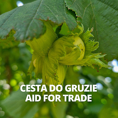 AMSP ČR zrealizovala obchodní misi do Gruzie