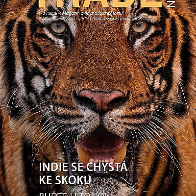 Indie už není jen budoucí příležitostí – je to realita dneška. Nové číslo TRADE NEWS je tu!