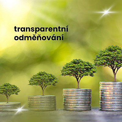 Transparentní odměňování podporujeme. Nepřiměřenou byrokracii pro malé firmy odmítáme.