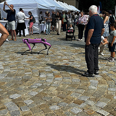 IMG_3737
