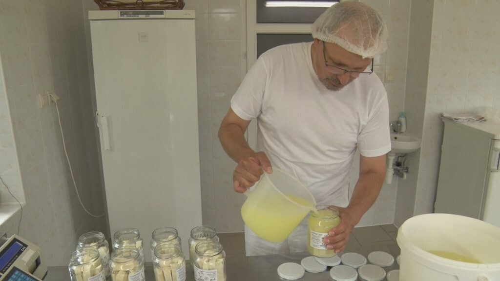 Výroba sýrů na kozí farmě v Úhlejově